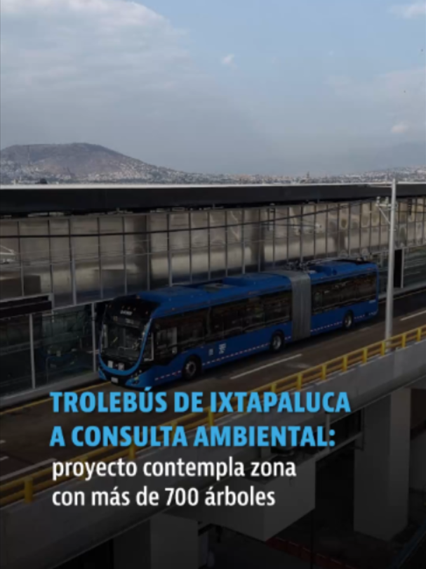 @elheraldodemexico