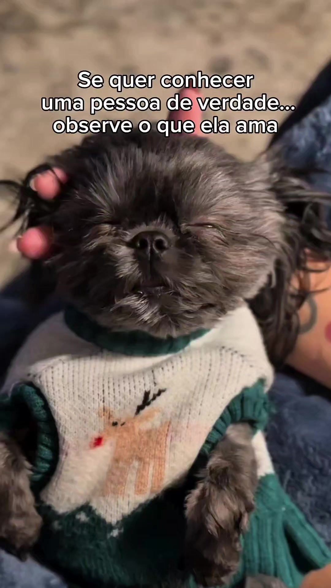 @Explore Aquii 🐾🐾✨️