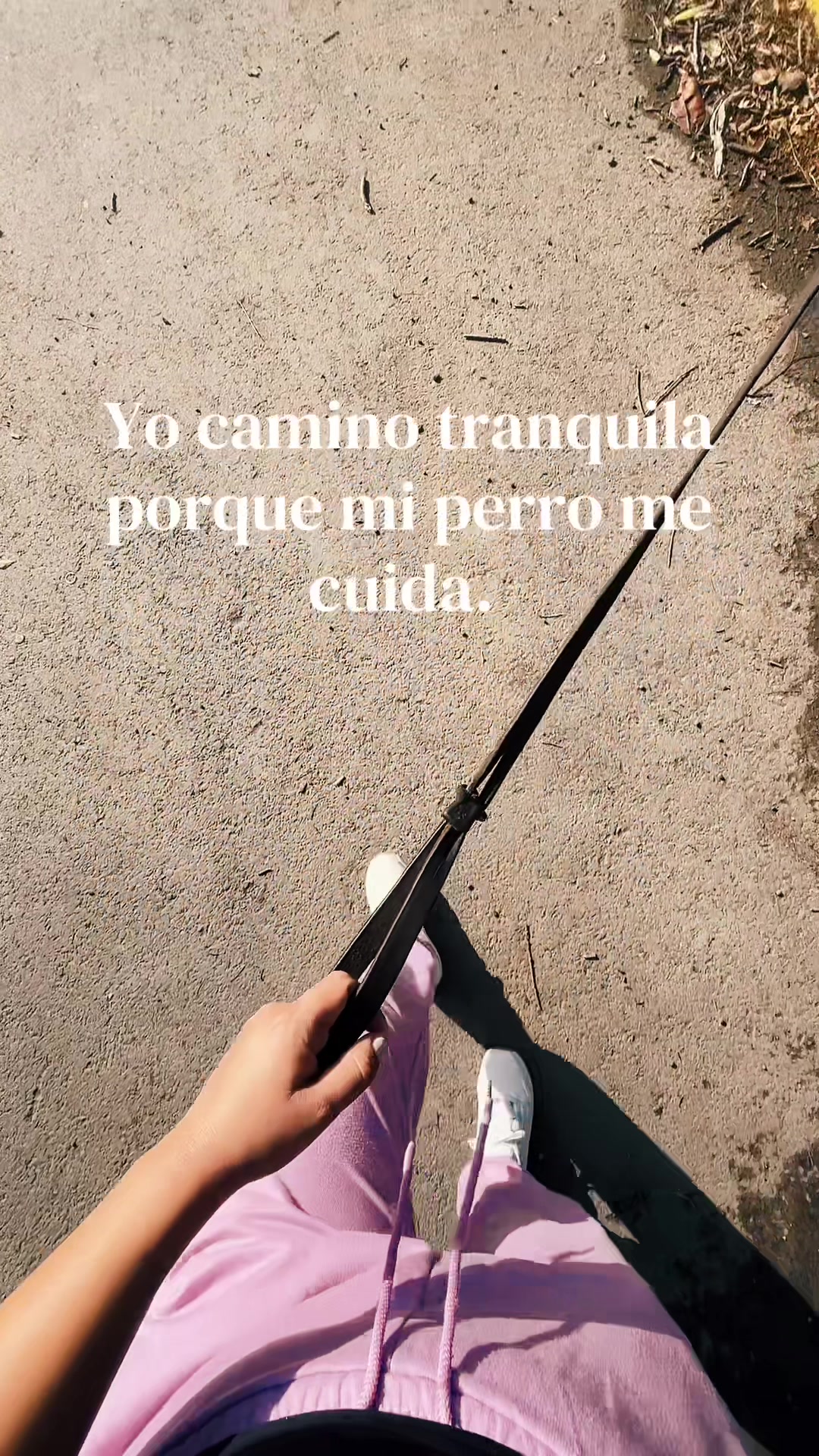 @Ver&oacute;nica &Aacute;ngeles