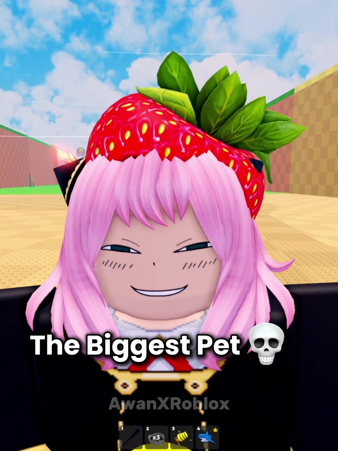 @AwanXRoblox
