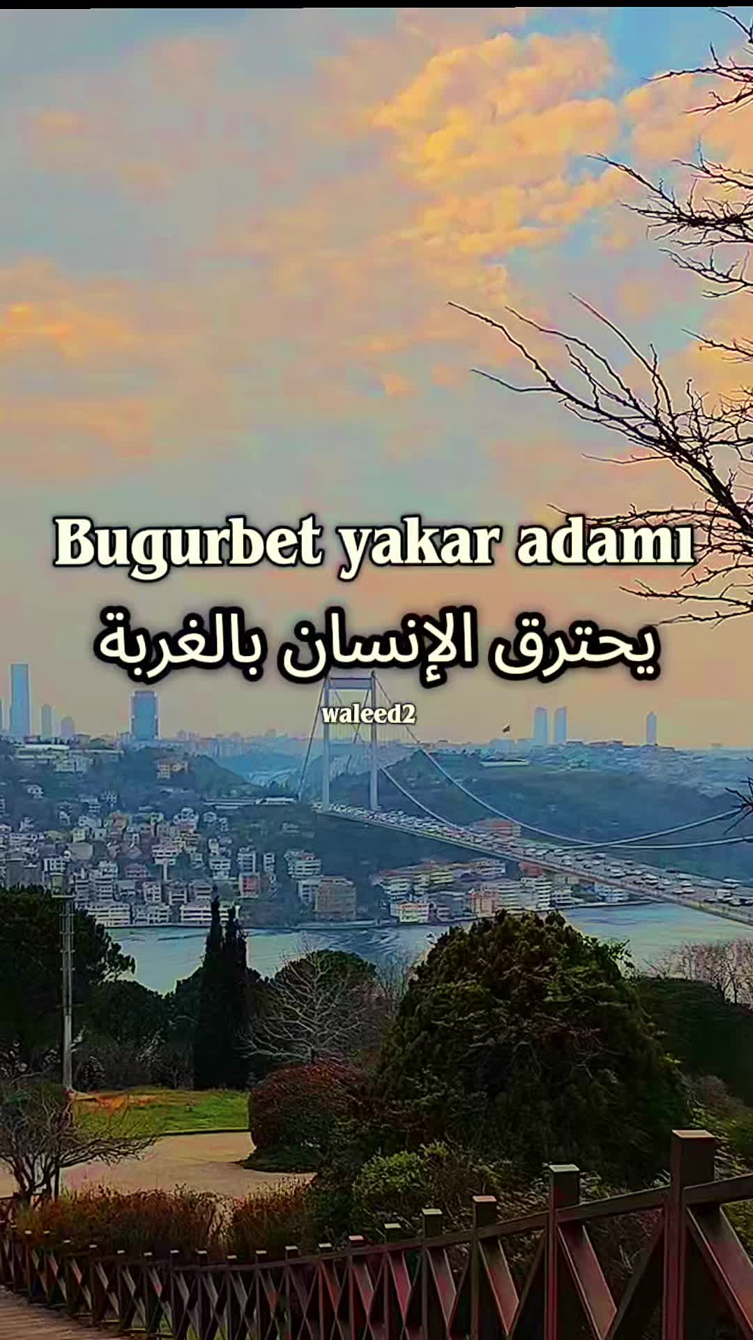 @Waleed 2