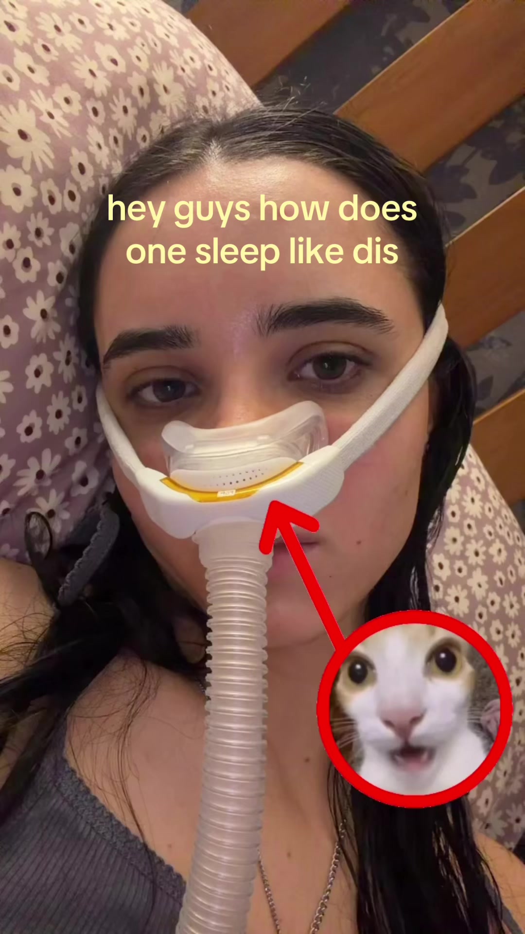 @sarah🦇