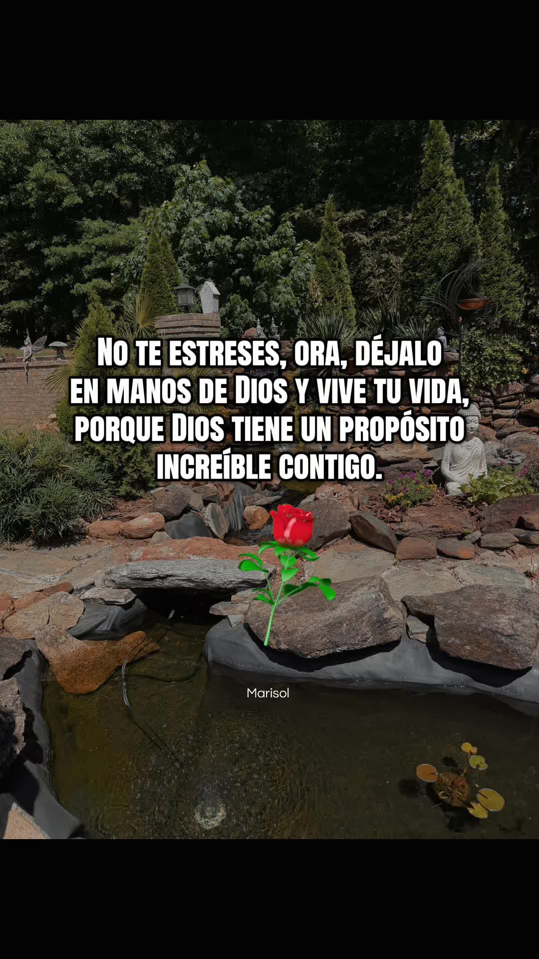@❤️Marisol Coronado ❤️