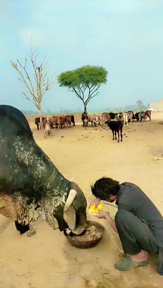@Alishar 133