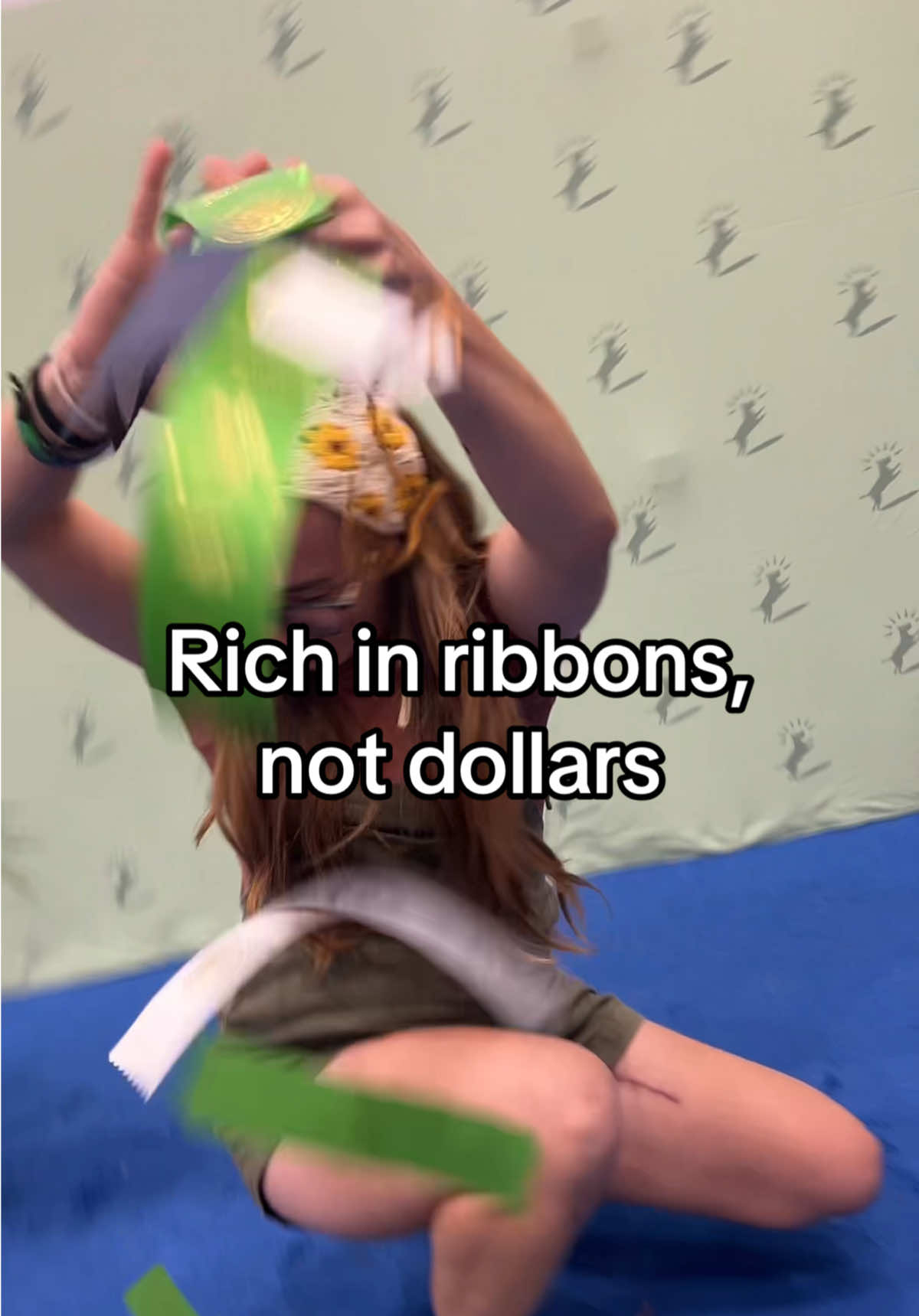 @CanineAntics