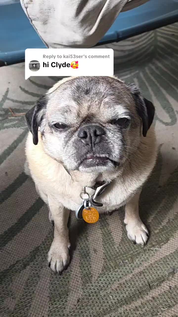 @Chefbob02