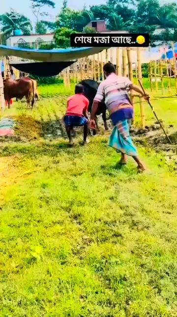 @উম্মতে মুহাম্মদী