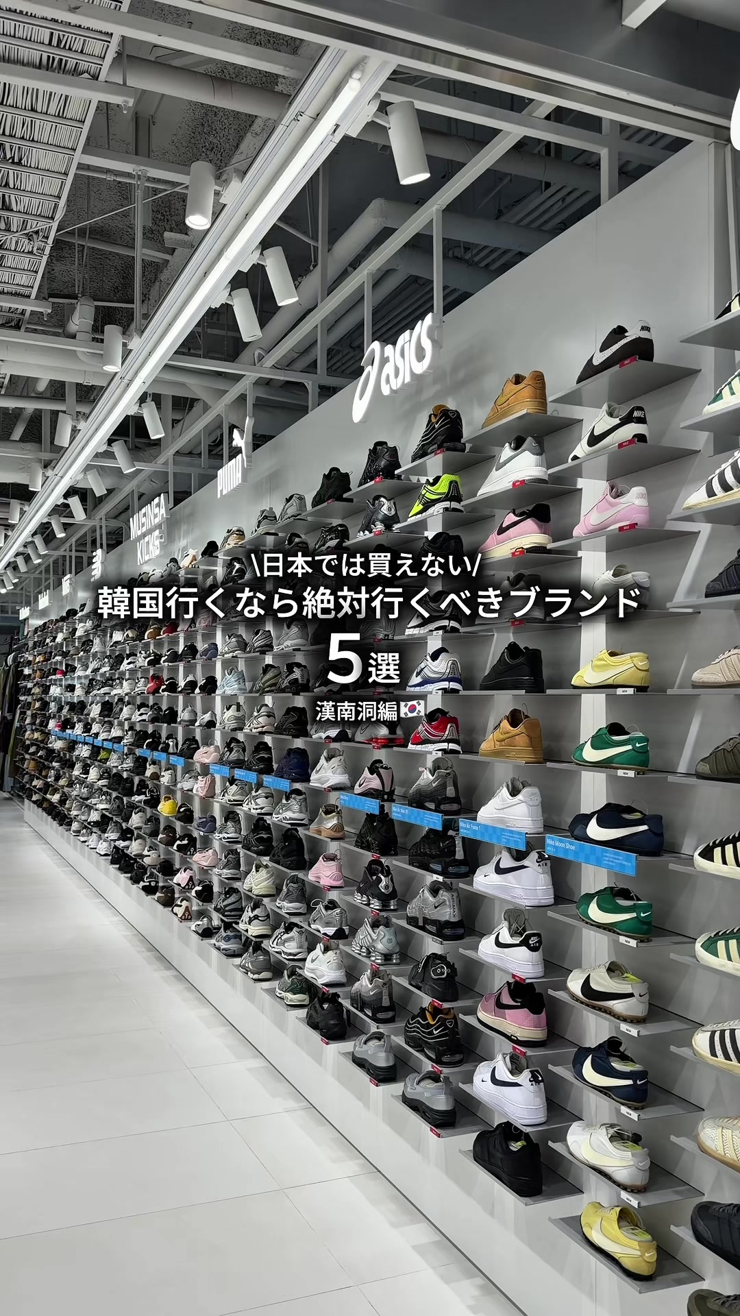 @竜聖(ダイオード)