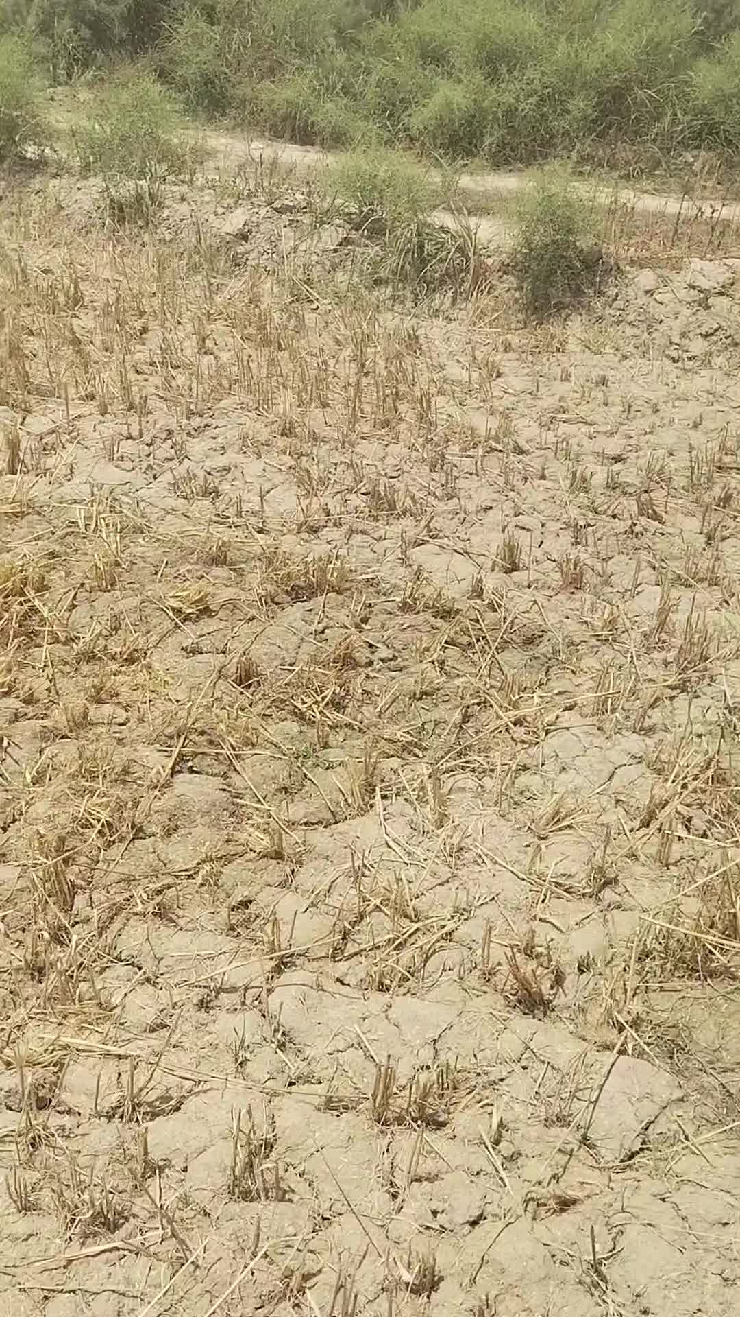 @Aamir Solangi873