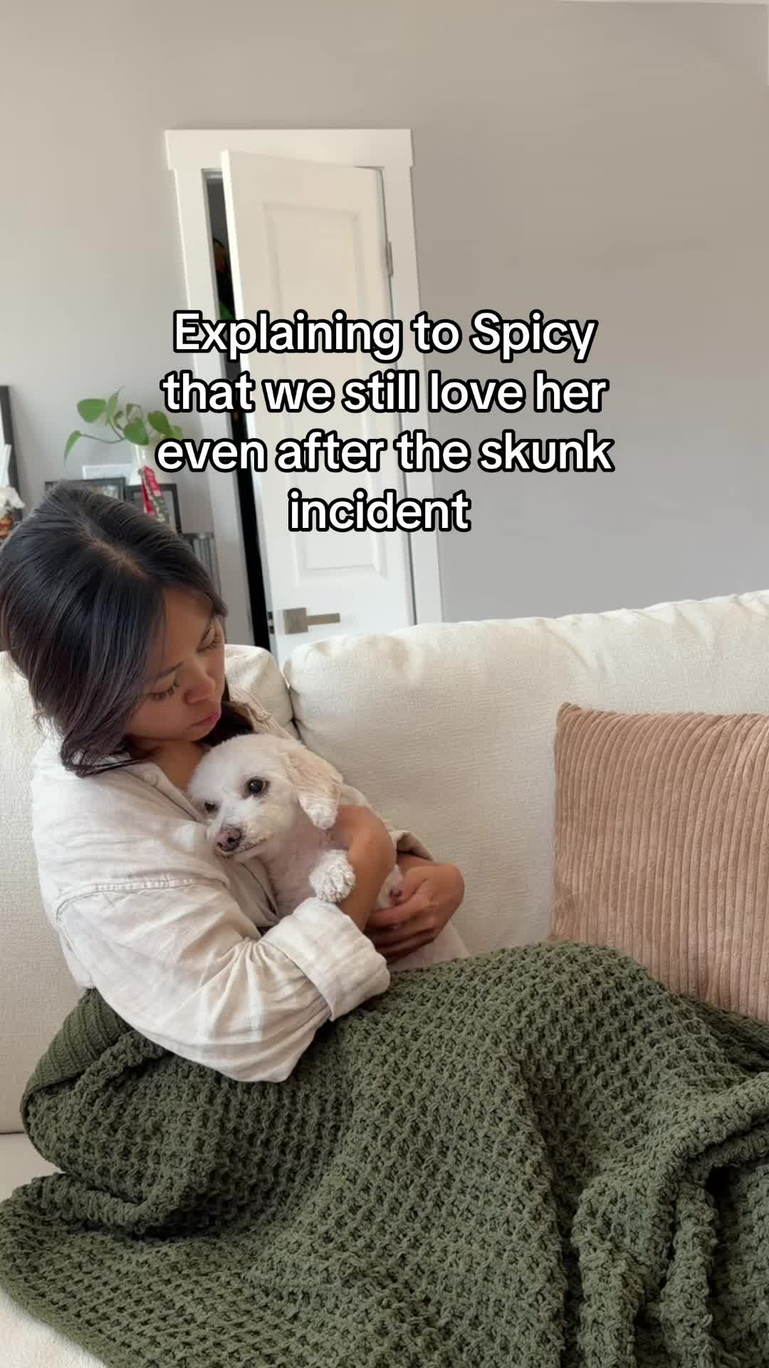 @Spicy The Dog