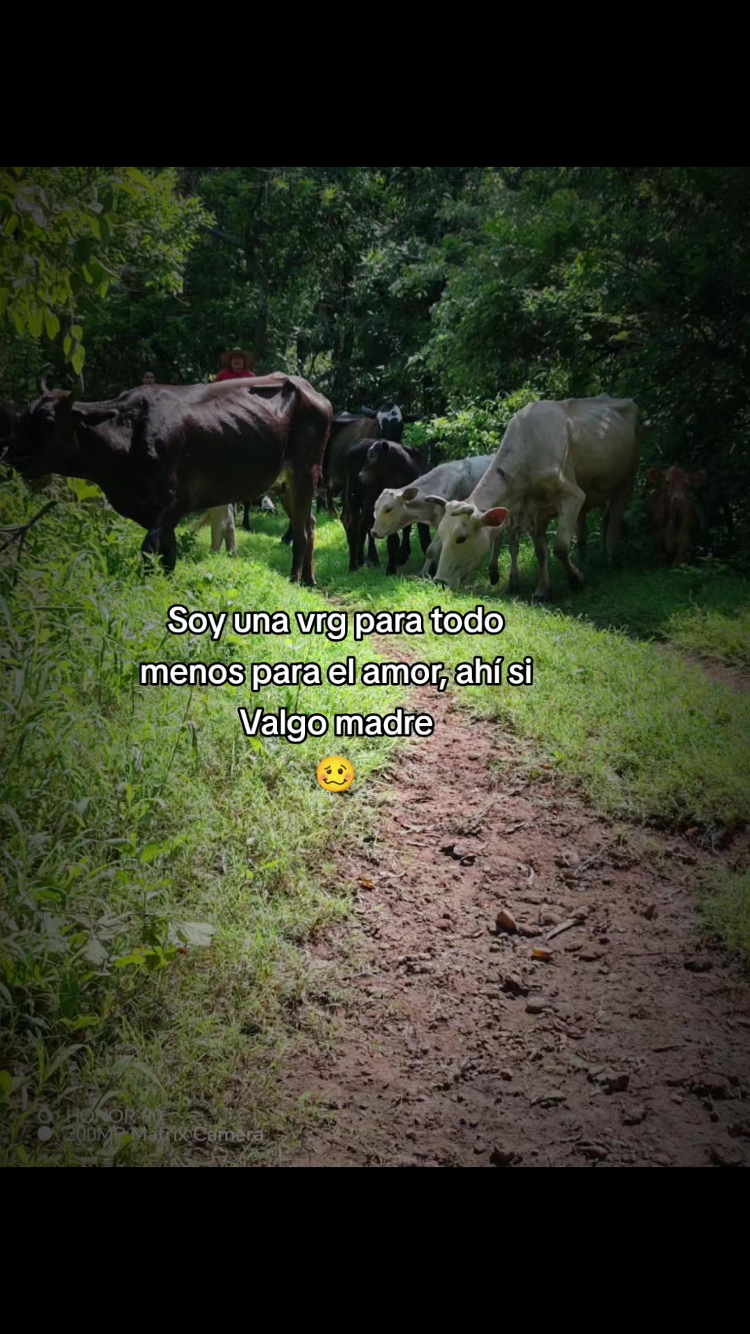 @La Pérez 🦂🦇🌎USF☄️⛰️🎠🎲🌺🪸