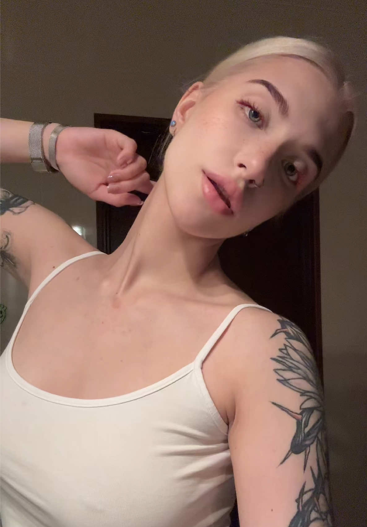 @librasev