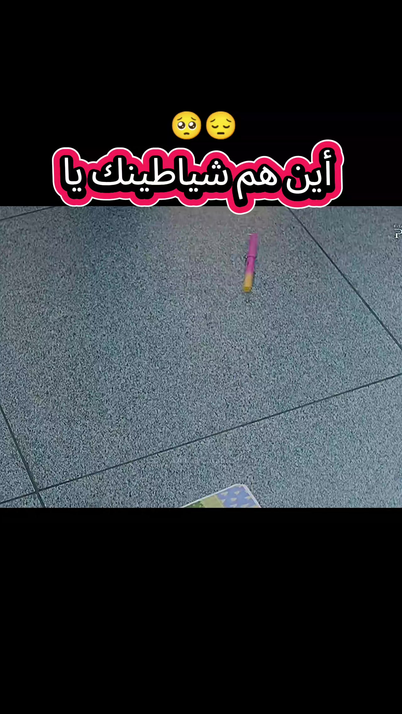 @تيومان وحورية البحر ✨🫠💘✨😎🫠