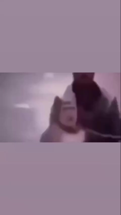 @7Mo