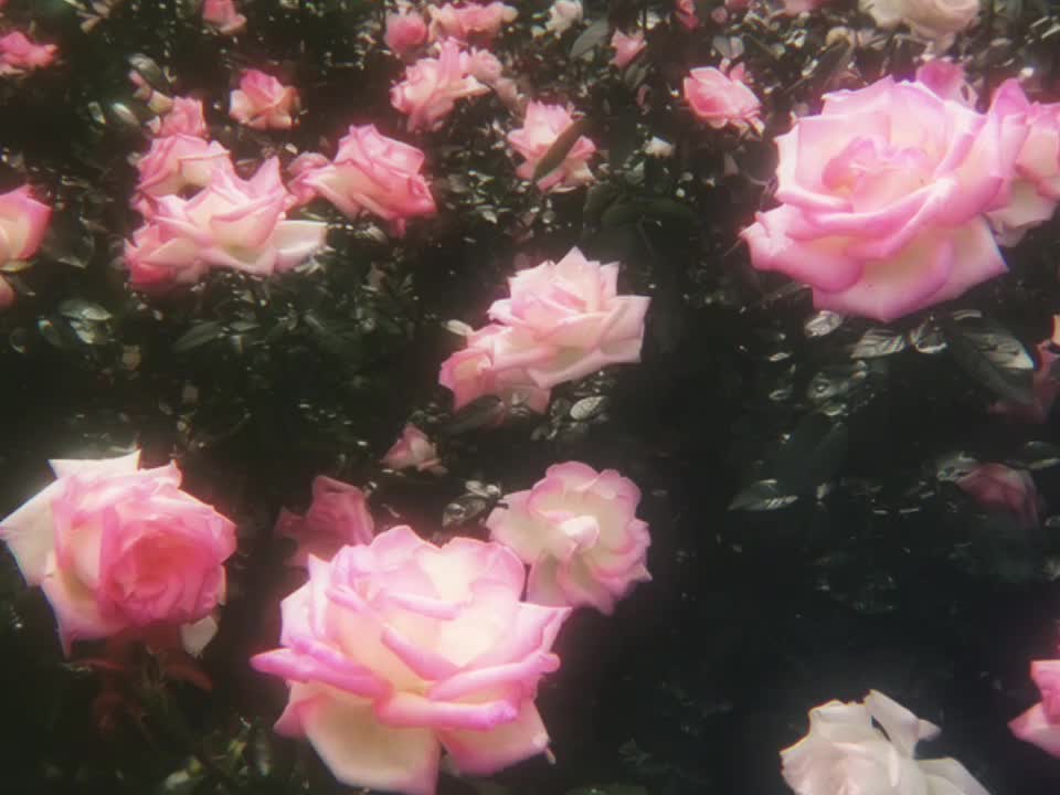 @𝘿𝙄𝙂𝙄𝙏𝘼𝙇𝙄𝙎