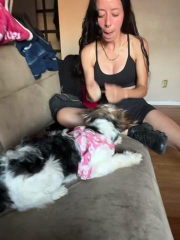 @StarvingVegan