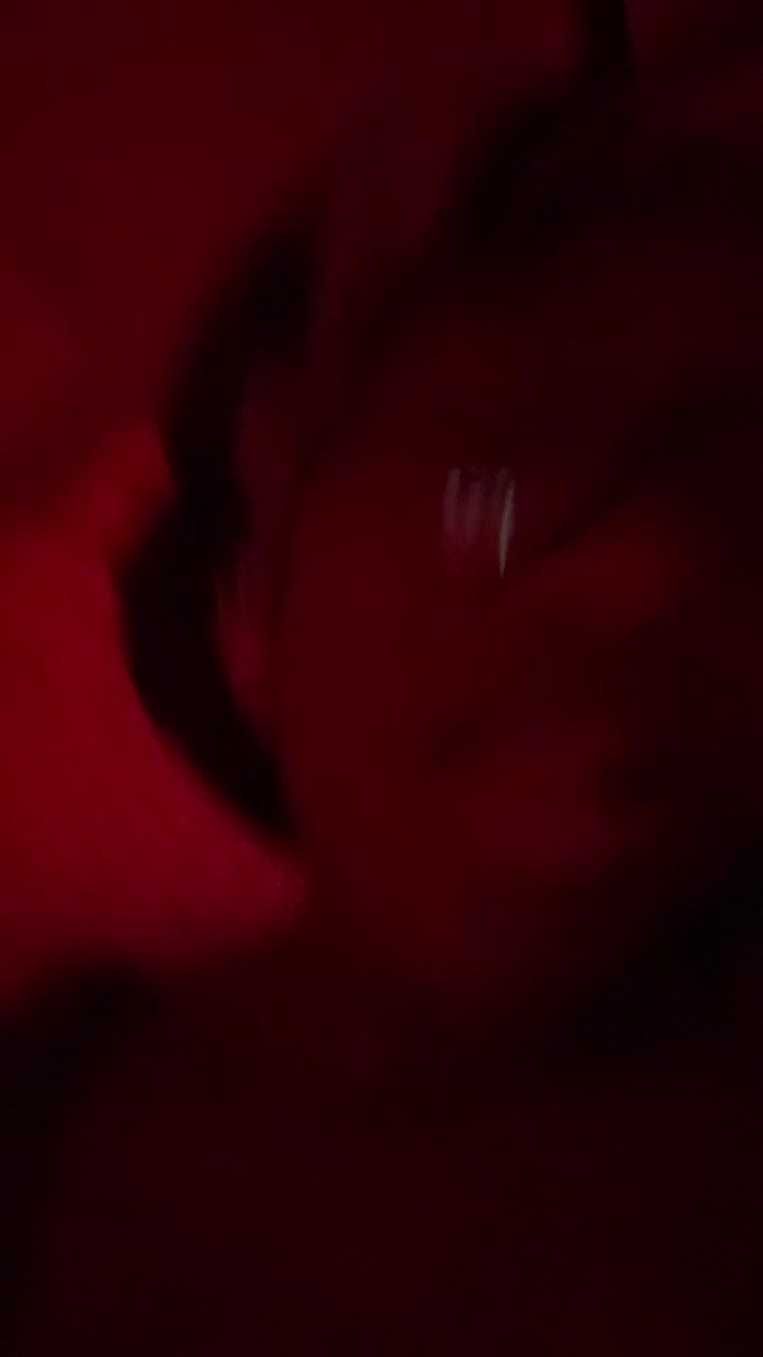 @everyoneluvskachima_