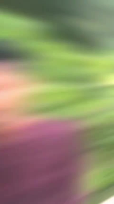 @D A N I S H B R O