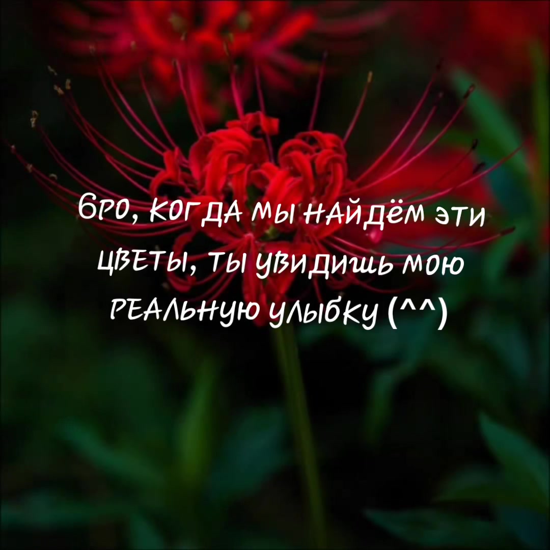 @𝒲𝒲𝒪𝐼𝐼𝒪𝒬𝒬𝐿