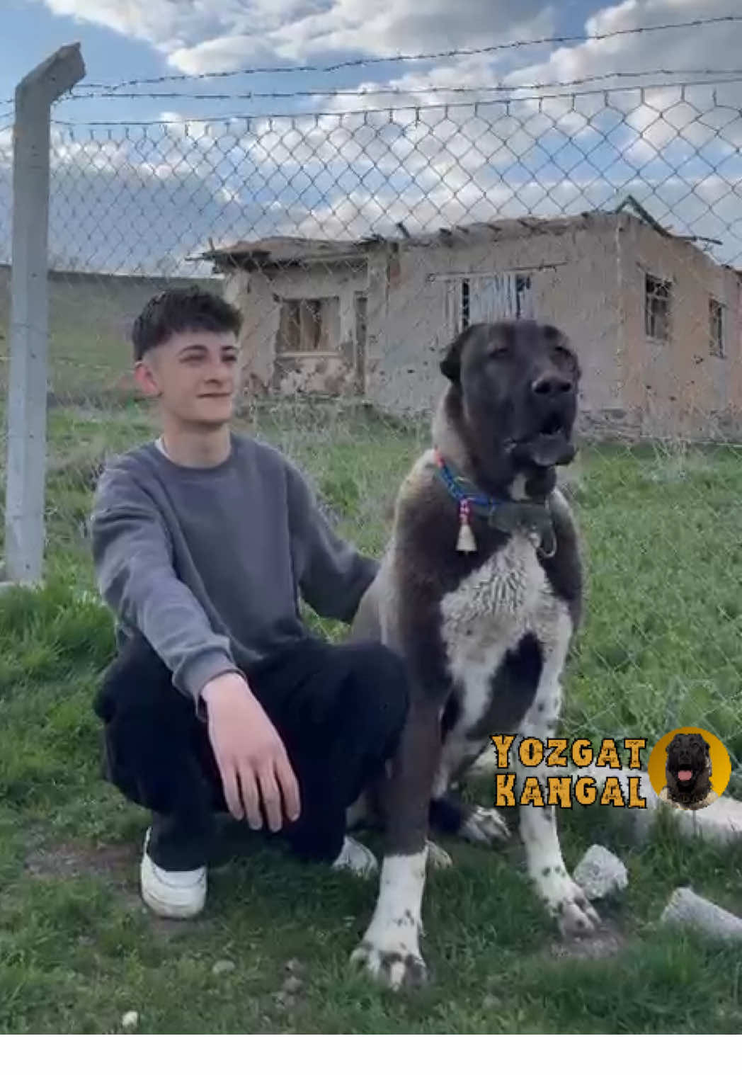 @Efe’nin KaraAslanları