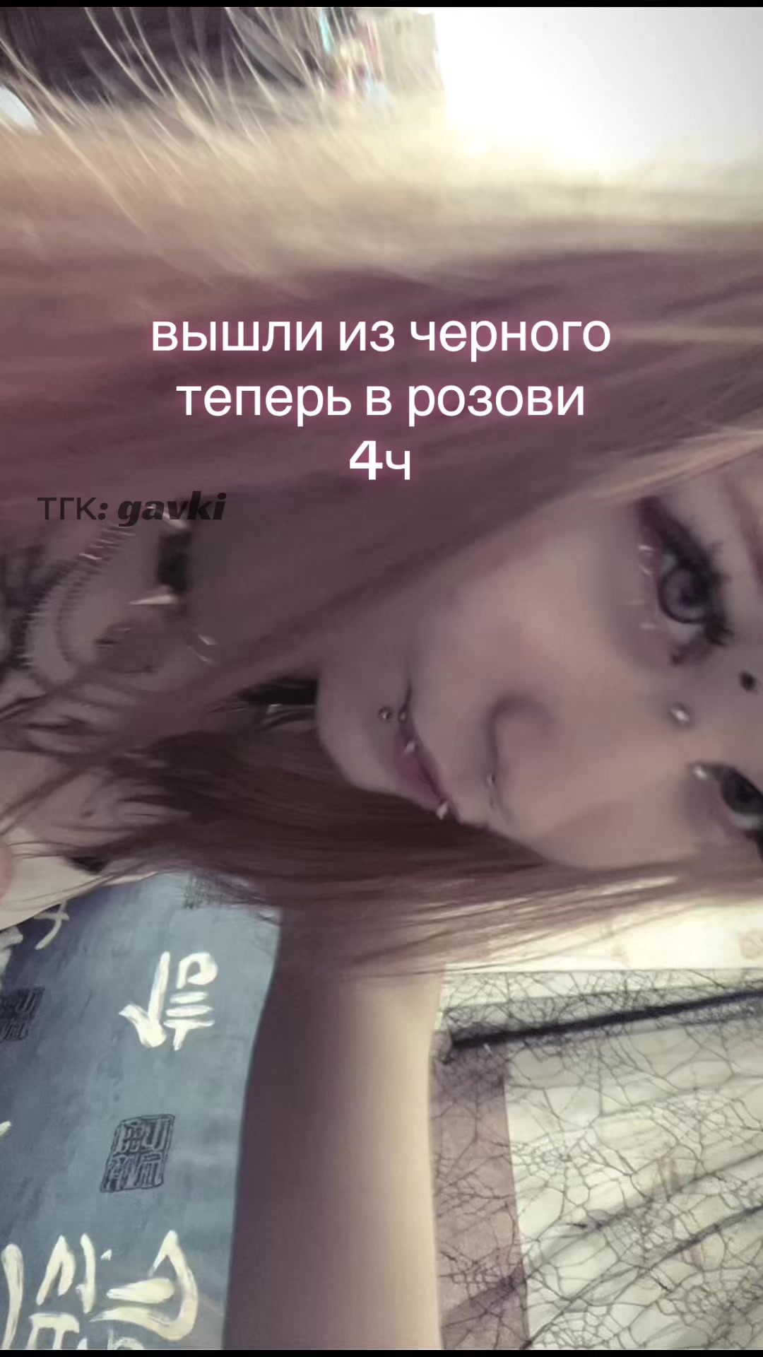 @gavki