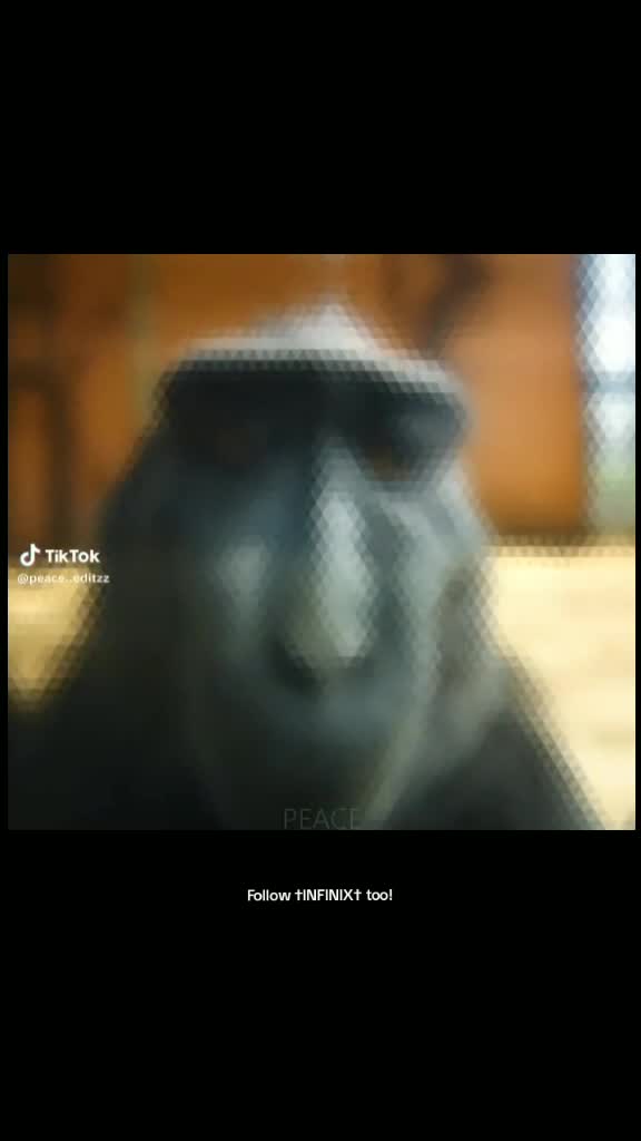 @เผ๏ธ †๐
๐ฉ๐๐ ๐จ ๐
๐ฒ๐ฉ๐ฉ† เผ๏ธ