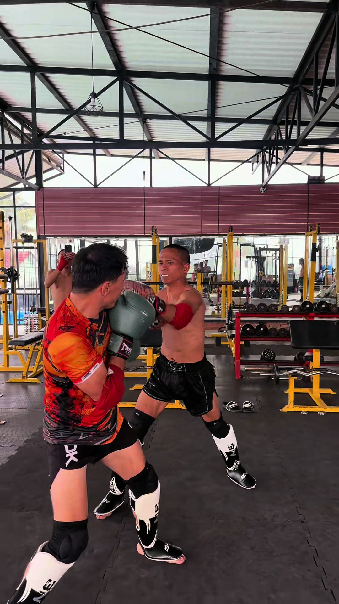 @Ronal🥊🇮🇩
