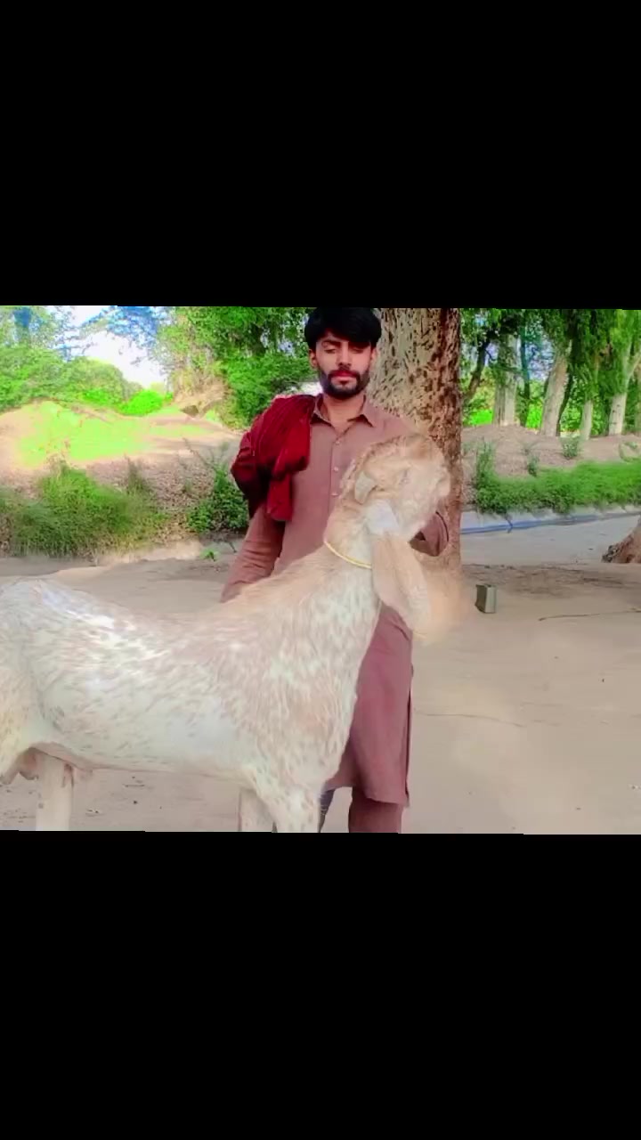 @Malik Rashid