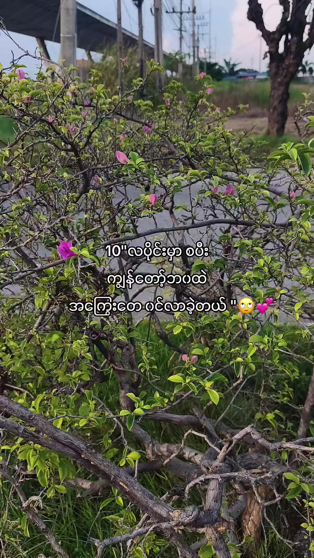 @Zð§žàŸàœ²