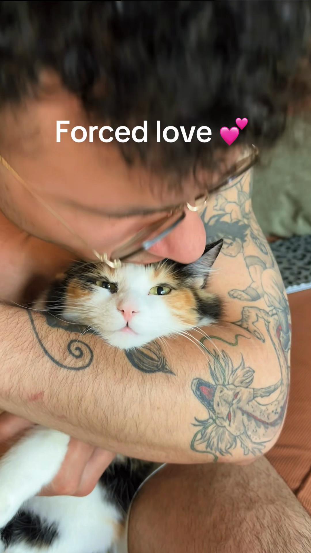 @two.calico.sisters
