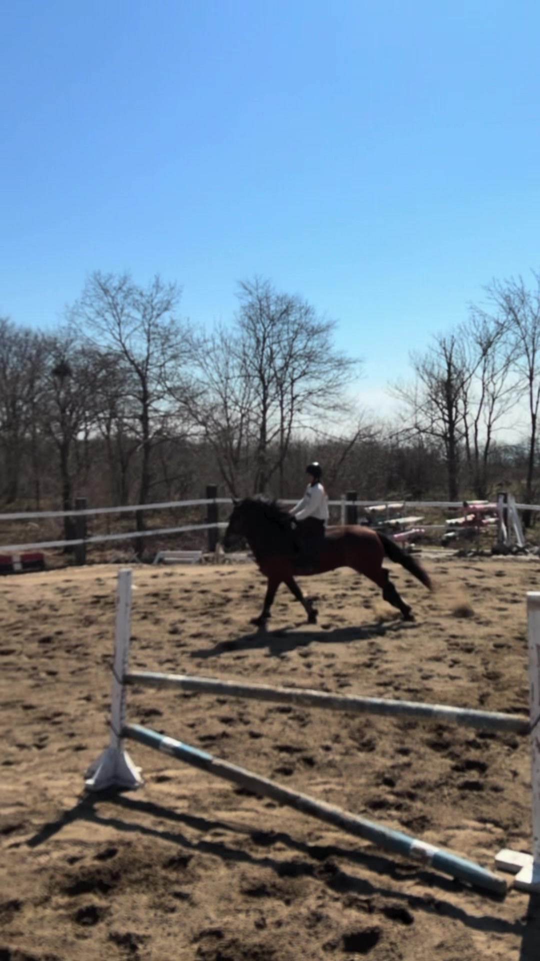 @🐴🤎