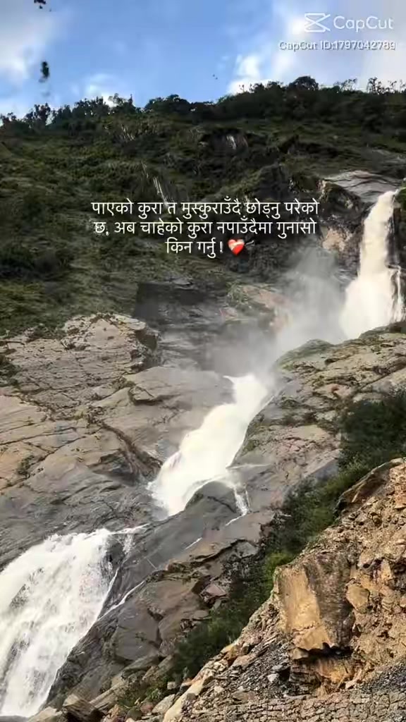 @Avisha Avisha