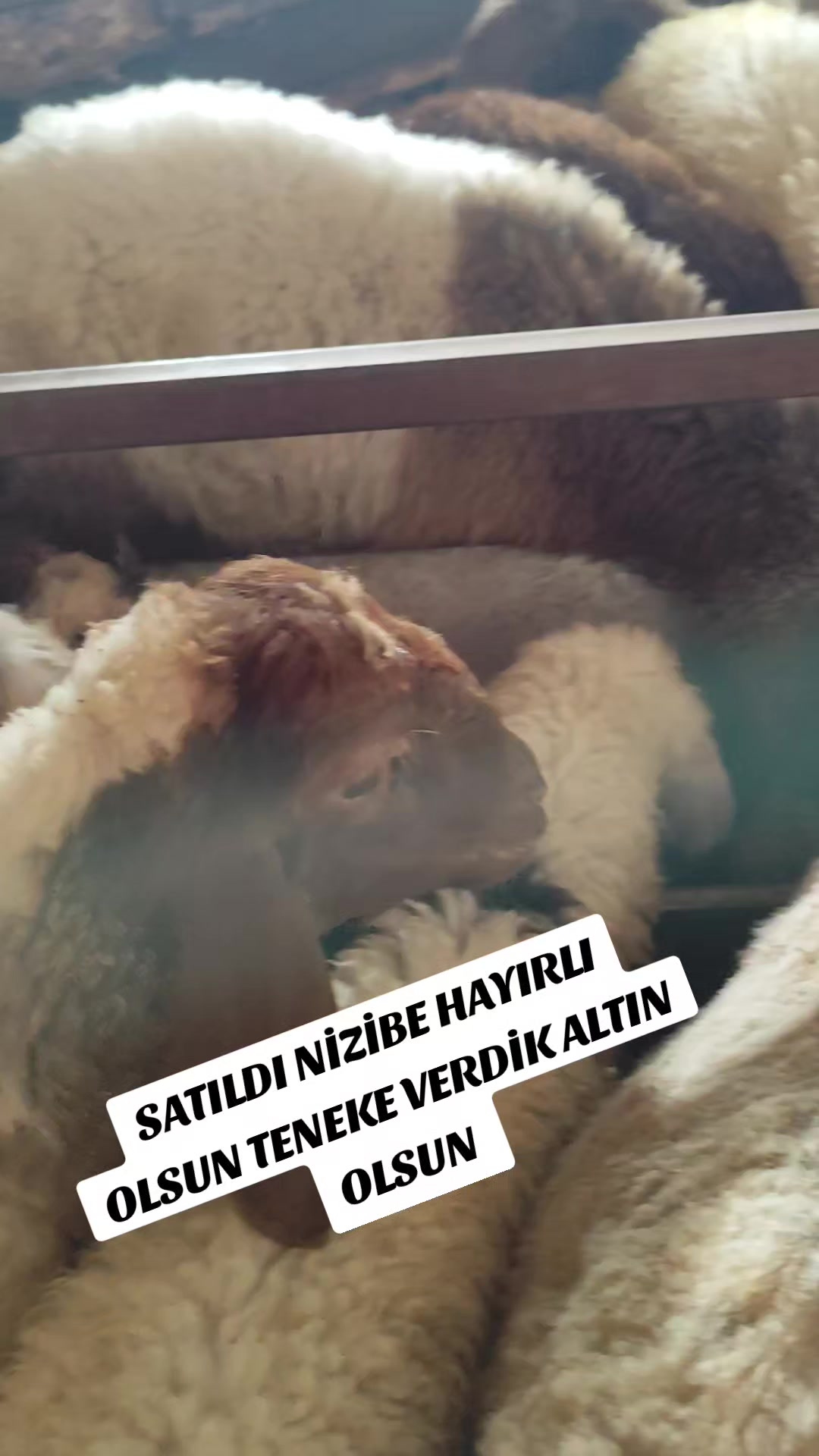 @ADAKCI CUMA