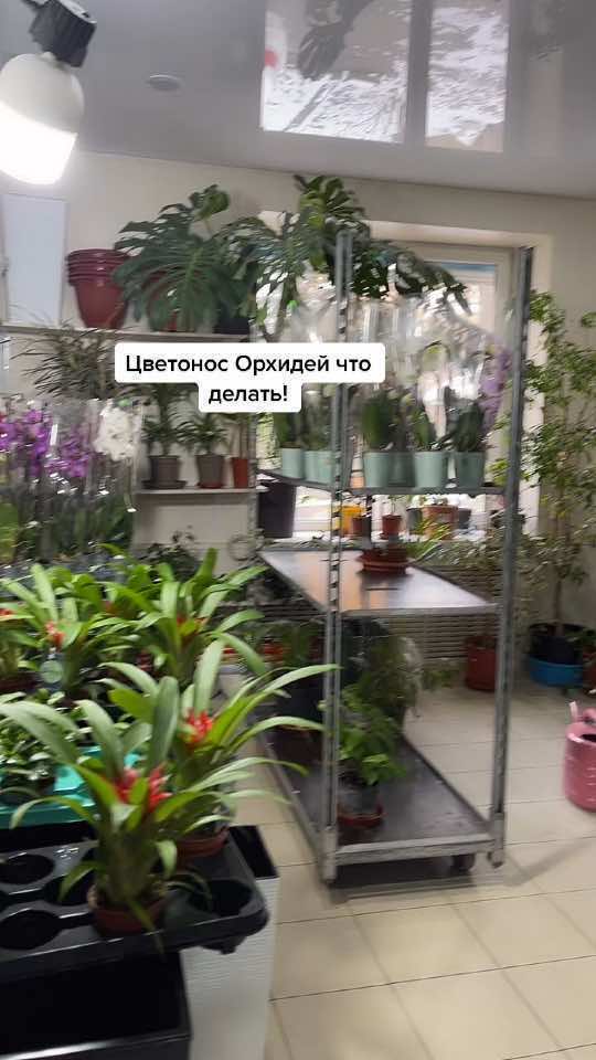 @ЦВЕТОЧНИЦА 𝕽𝖞𝖟𝖎𝖓𝖆