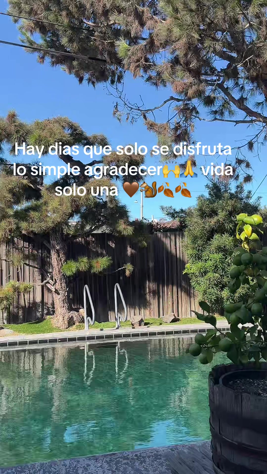 @ivonned