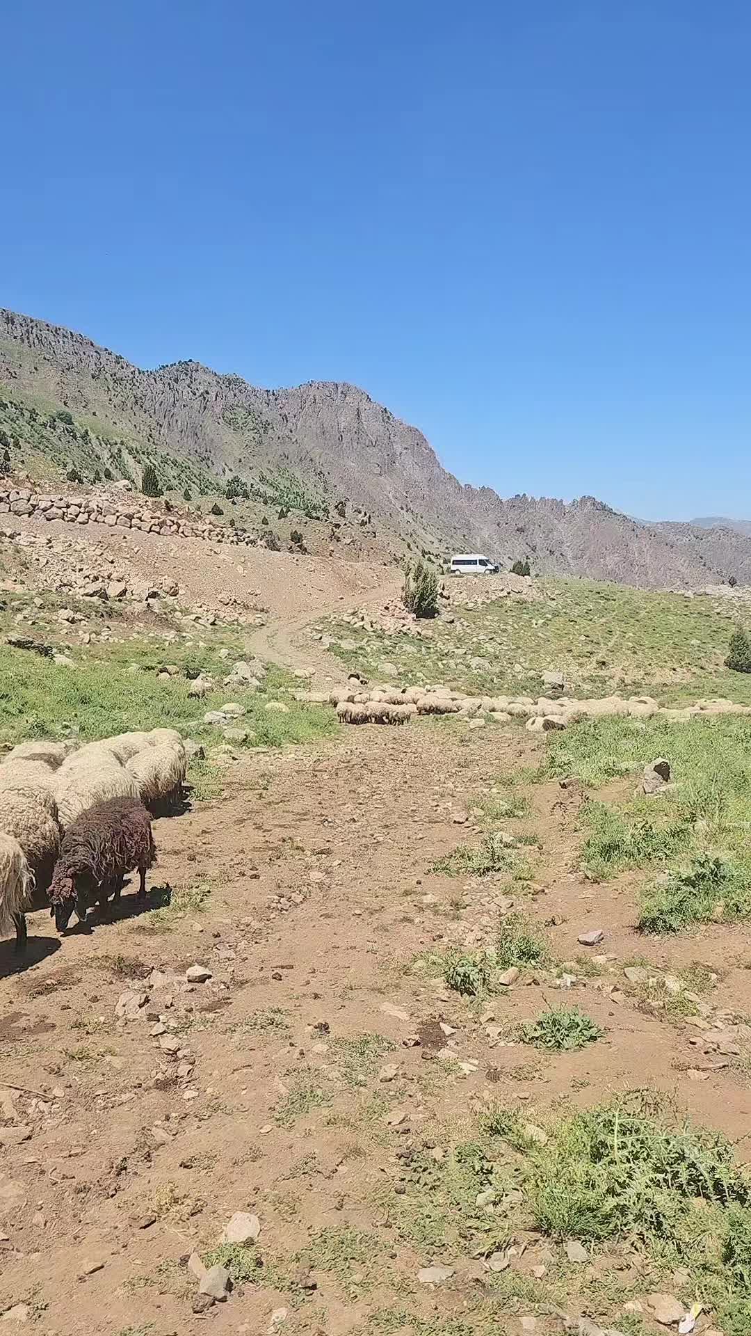 @Şahabettin