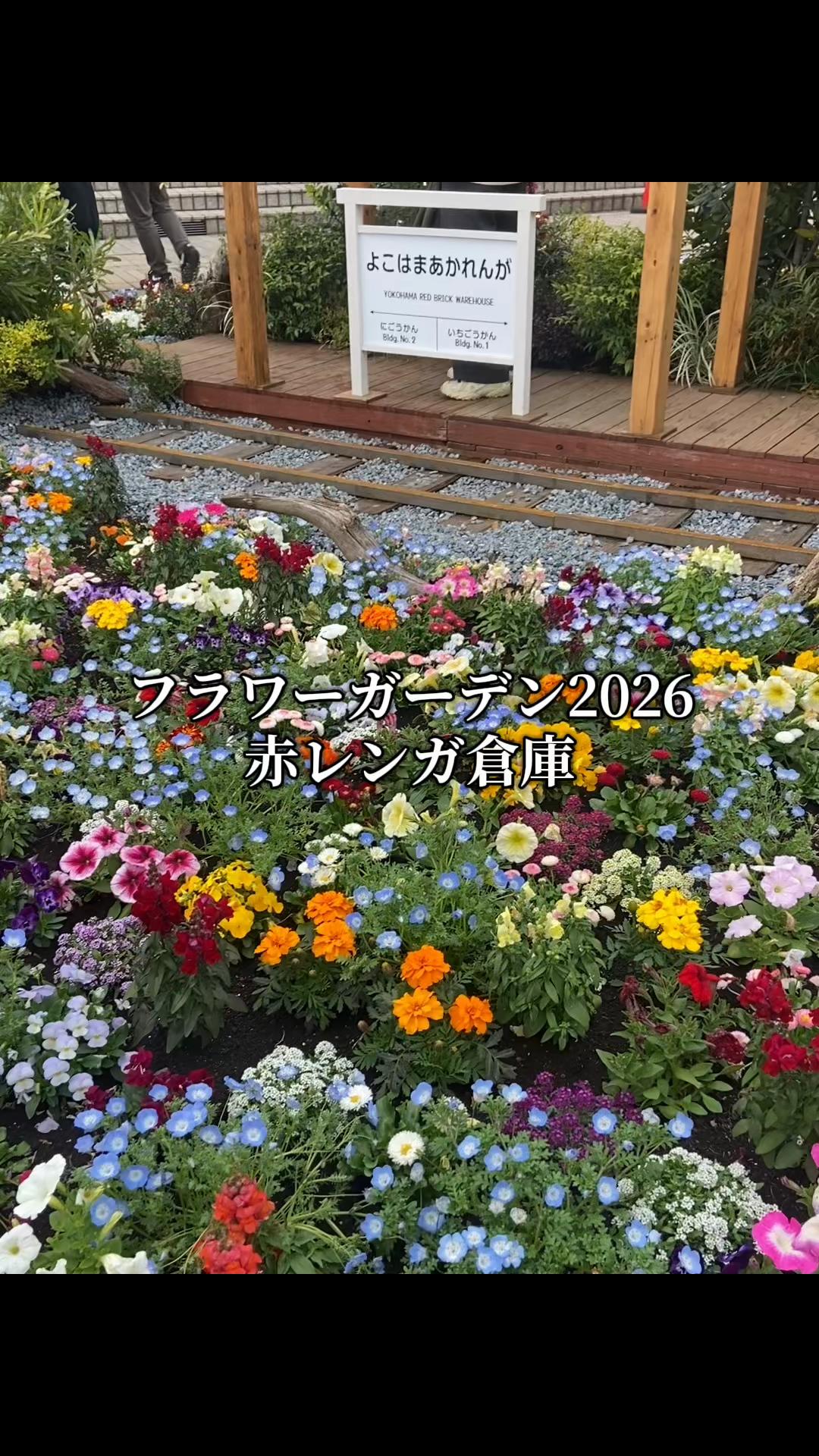 @あさこ