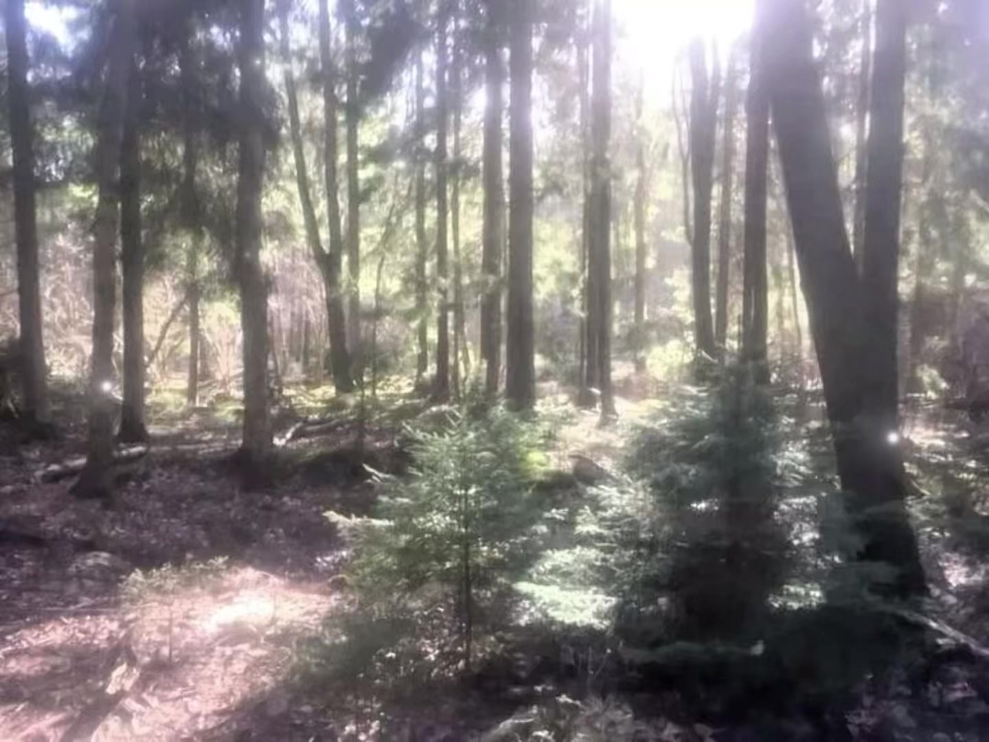 @для липсингов
