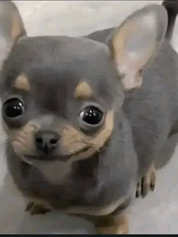 @y2k_p._