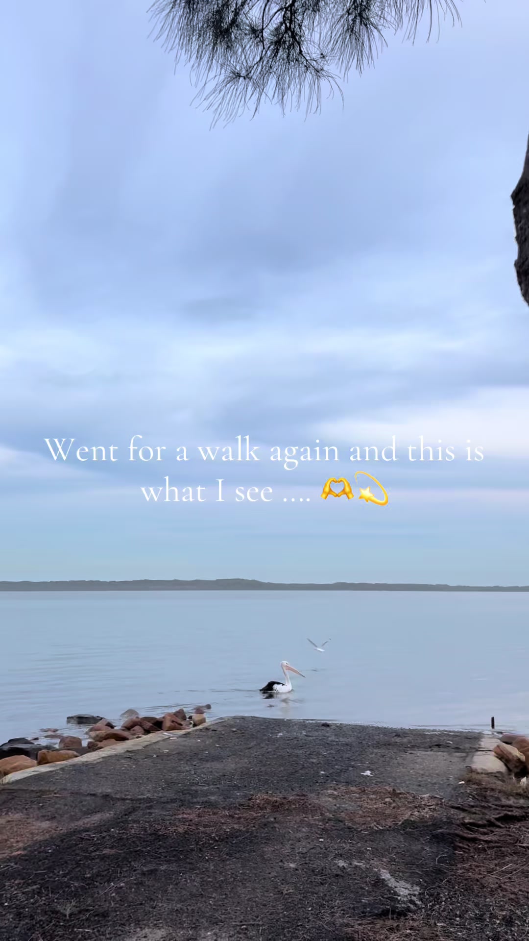 @SS🦋🌸🤍🔥
