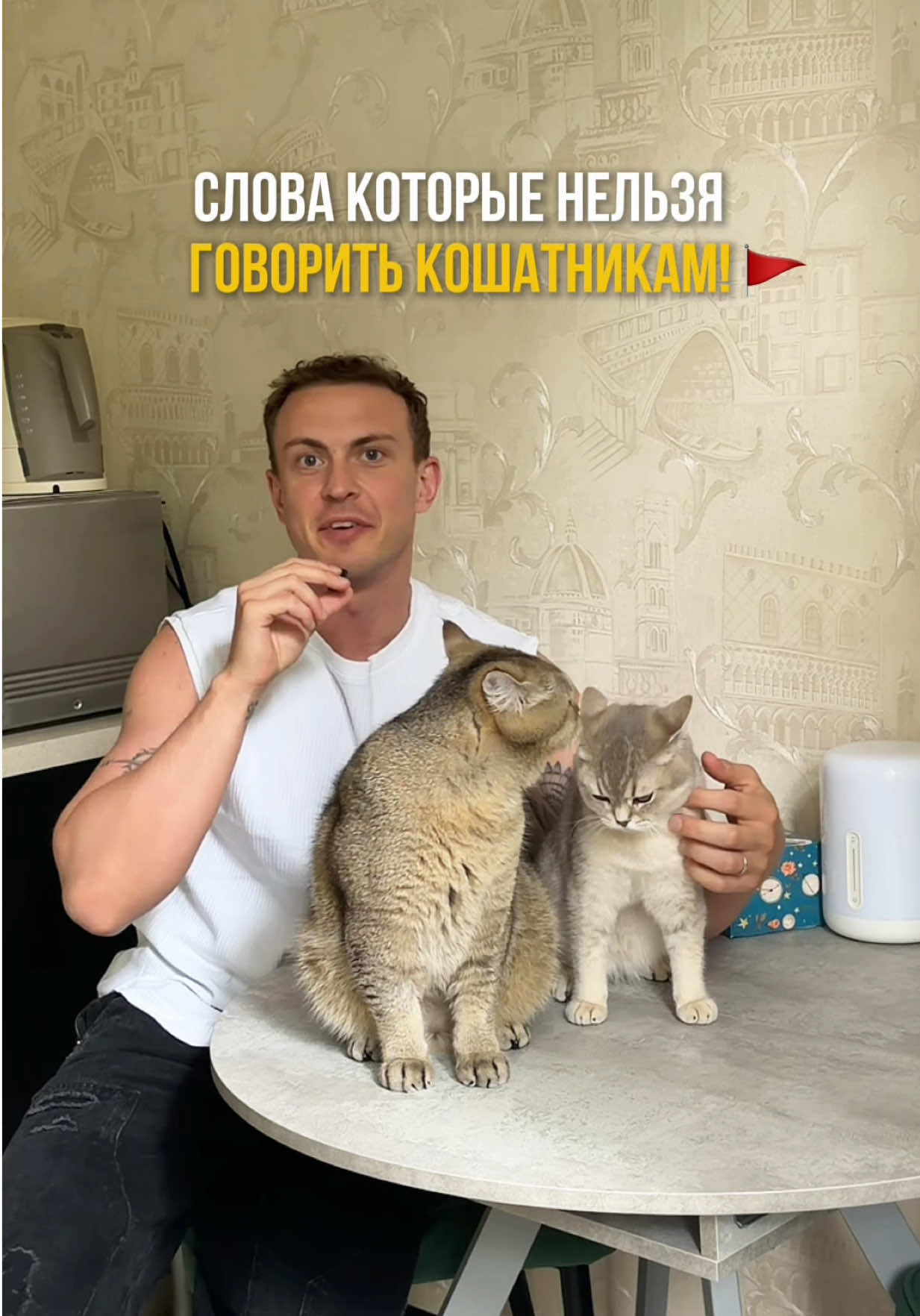 @котопапа