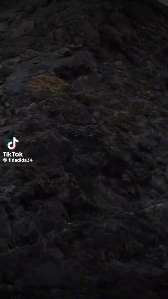 @شيخ ابراهيم گوران