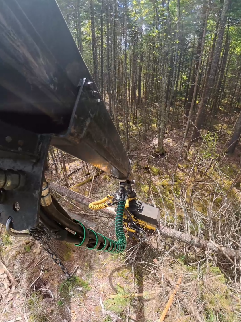 @Nova Scotia Logger