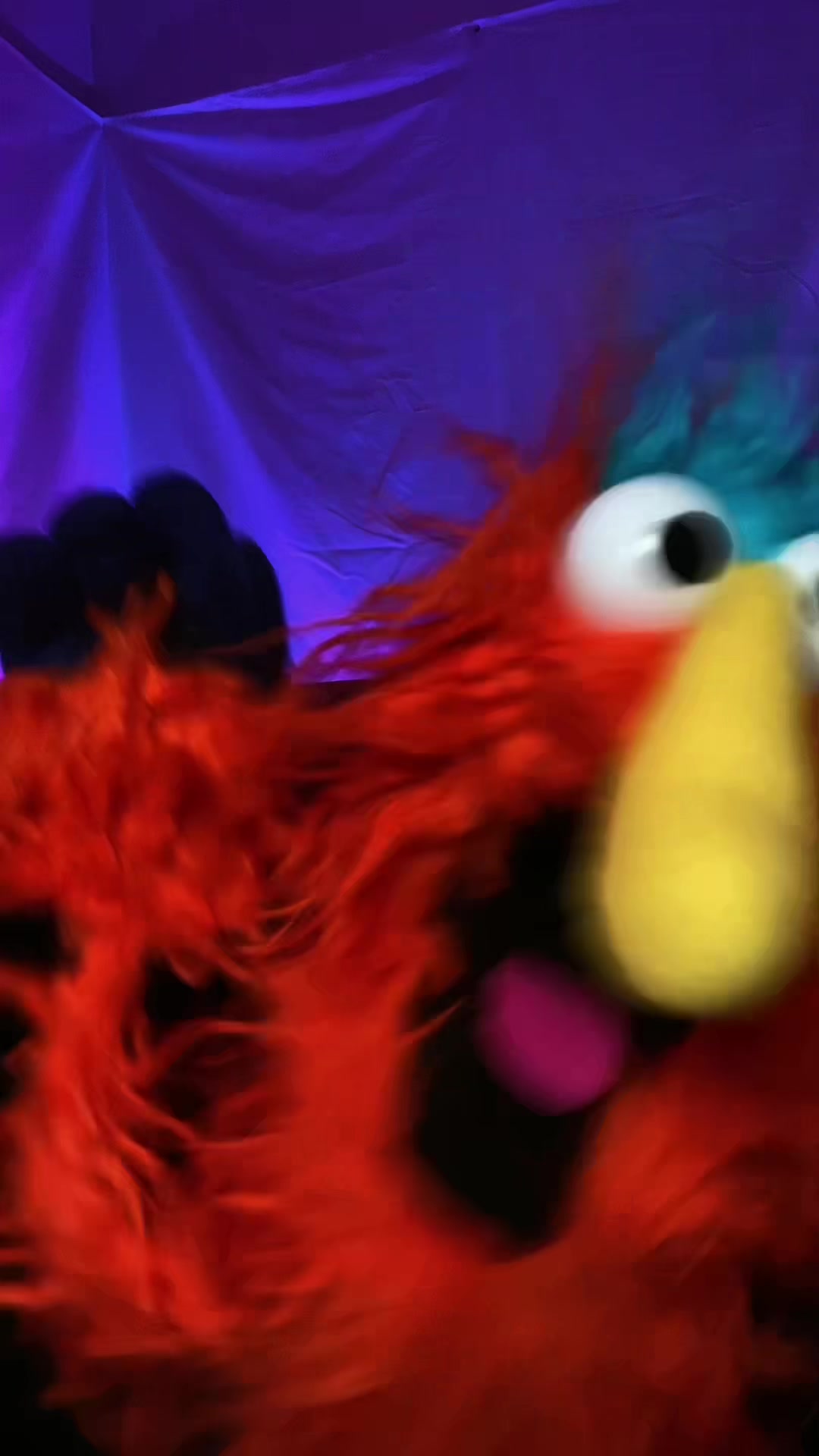 @Goodman&rsquo;s Wacky Puppets