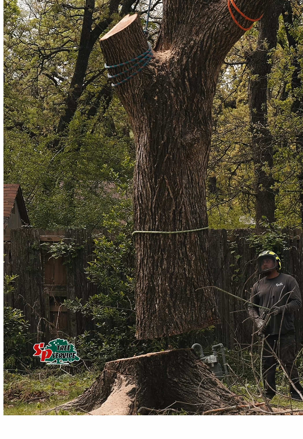@SPTreeService