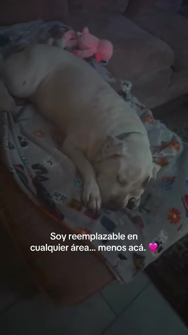 @Curvaspeligrosas33