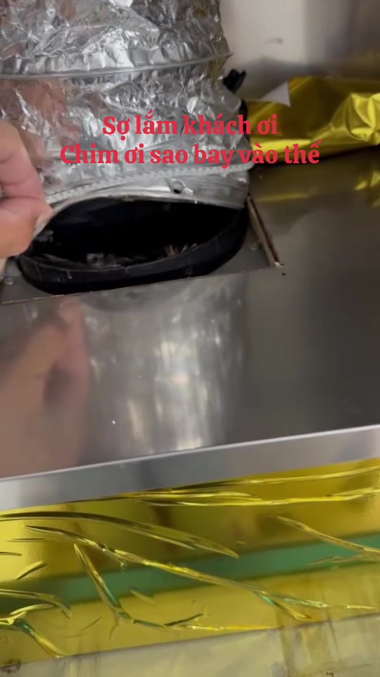 @Mẹ Của Gấu Heo