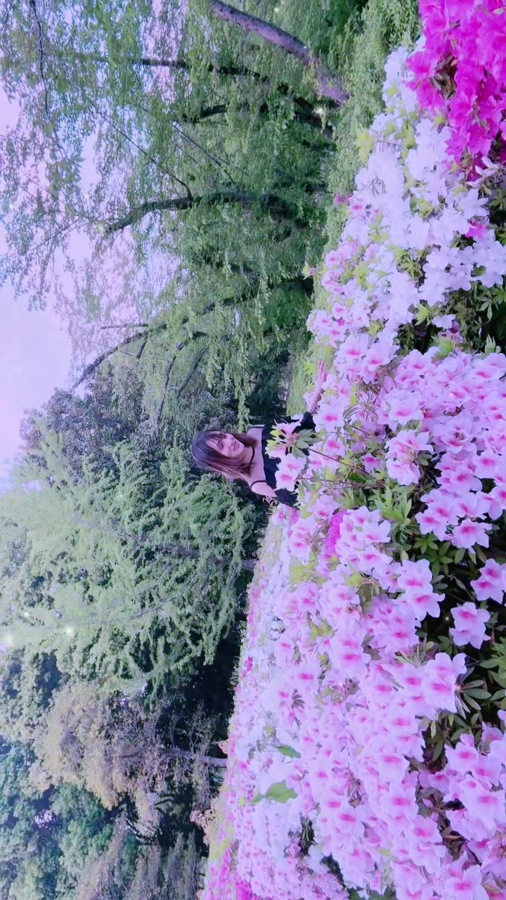 @𓆩❤︎𓆪𝘼𝙉𝙕𝙀𝙀𓆩❤︎𓆪