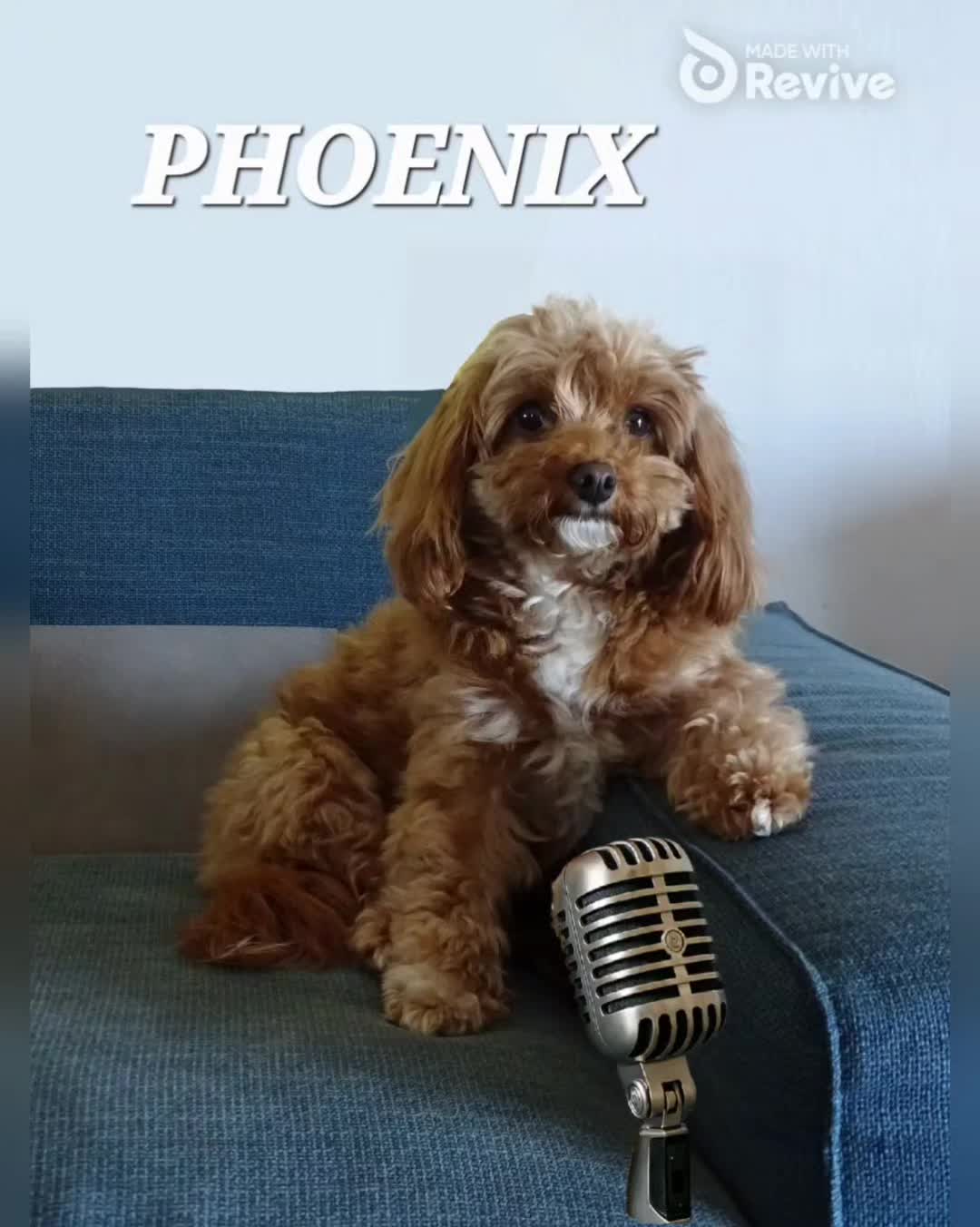@Phoenix