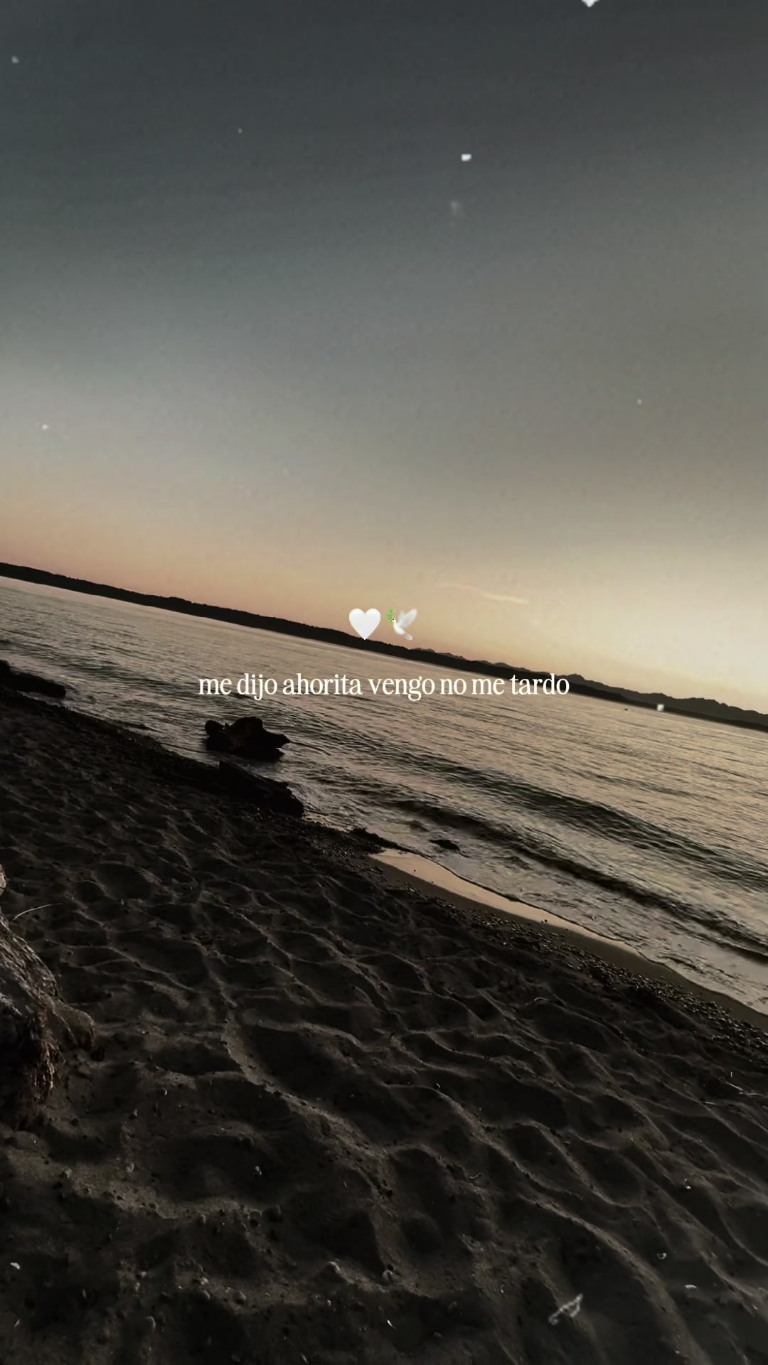 @Niky💔🥹🕊️
